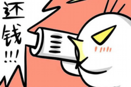 北林北林专业催债公司的催债流程和方法